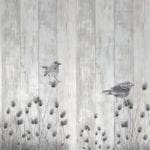 Siberia Plovers - Bird Illustration Wall Panels