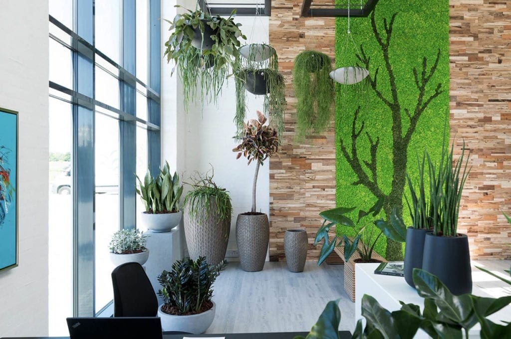 Retail & Visual Merchandising