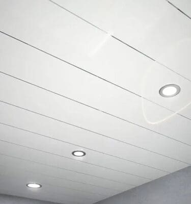 White ceiling 2 silver strip