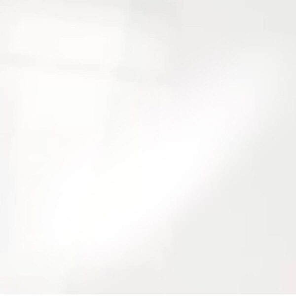 White Gloss Gecko Shower Panel (1000mm x 2400mm x 10mm) - Image 2