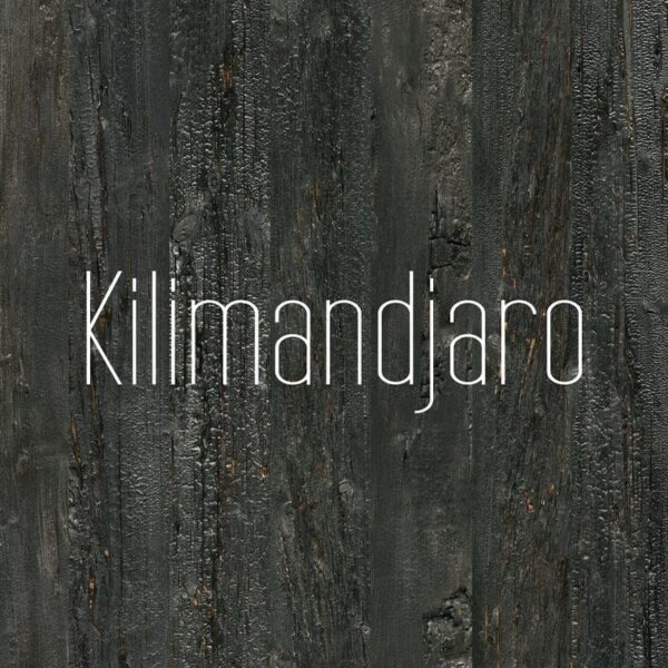 Accent Kilamandjaro Black Wood Wall Panel Kit Sample - Image 2
