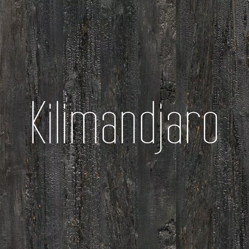 Accent Kilamandjaro Black Wood Wall Panel Kit (1200mm x 154mm x 6mm) - Image 2