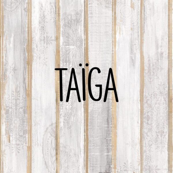 Accent Taiga White Washed Wood Wall Panel Kit Sample - Image 2